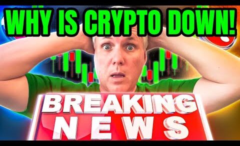 WHY CRYPTO IS DOWN TODAY! BREAKING CRYPTO NEWS!