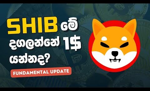 Crypto Market Fundamental news | Cryptocurrency market Fundamental update in Sinhala  | Fundamental