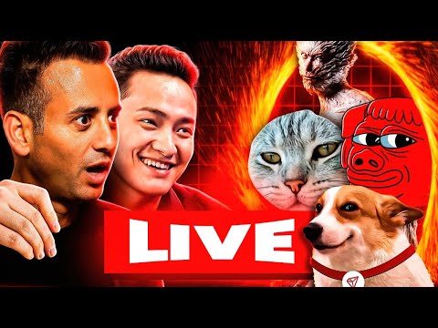 The 10 BIGGEST Meme Coins On TRON! [JUSTIN SUN LIVE INTERVIEW]