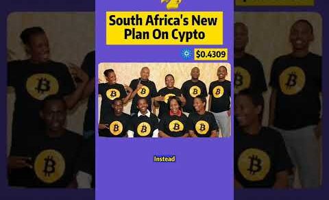 South Africa’s New Plan On Cypto#fyp #cryptodaily #bestcryptonews #cryptonews #shorts