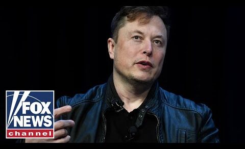 Elon Musk: We’re in deep trouble if Trump loses