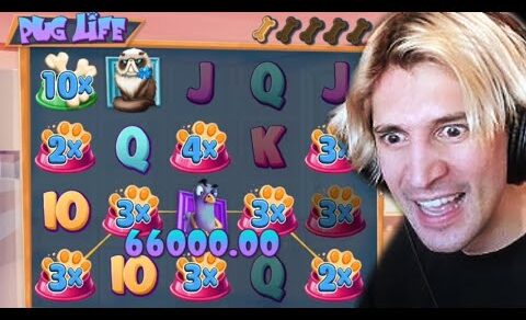 ❎xQc Gambling❎Live Stream❎Casino Live❎Casino Live Slots Gambling❎