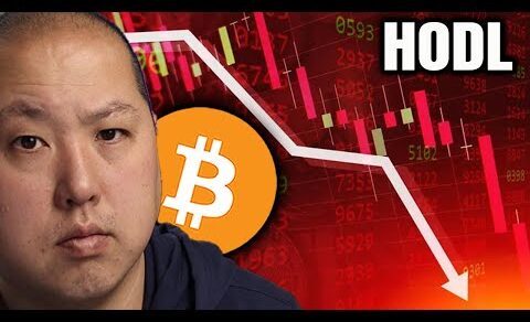 Bitcoin Holders Brace for Turbulence and HODL