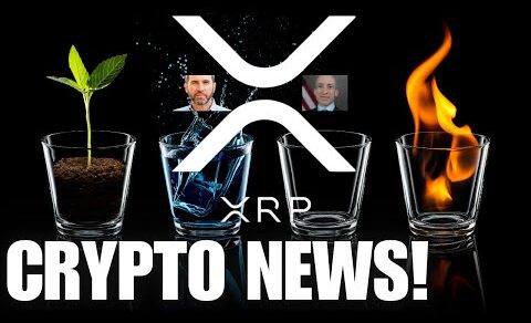 APPEAL! Ripple XRP 🚨 Two Times XRP Price Pumped 📈 CRYPTO NEWS