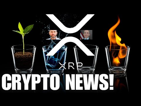 APPEAL! Ripple XRP 🚨 Two Times XRP Price Pumped 📈 CRYPTO NEWS