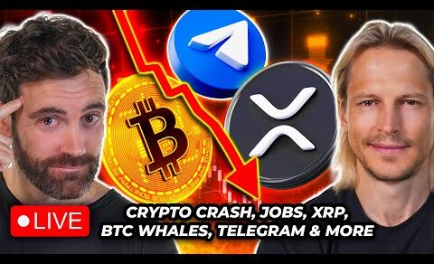 Crypto News: Jobs Crash Crypto, Bitcoin Whales, Crypto Liquidations, XRP & More!