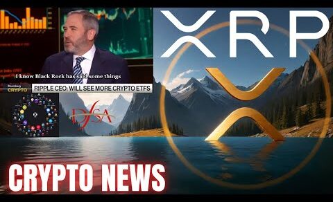 Ripple XRP in DUBAI🚨Hedera Interchain Amplifier HBAR 📢 Cycle Rant ✔️ CRYPTO NEWS