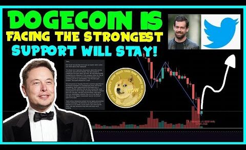 *URGENT* NEWS FOR ALL DOGECOIN INVESTORS FAST! 🚨 (Elon Musk & Tesla) 🚀DOGECOIN XPaymets & Outflow!