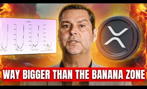 XRP – Don’t F**K This Up! What’s Coming Is 100x Bigger Than Imagined – Raoul Pal