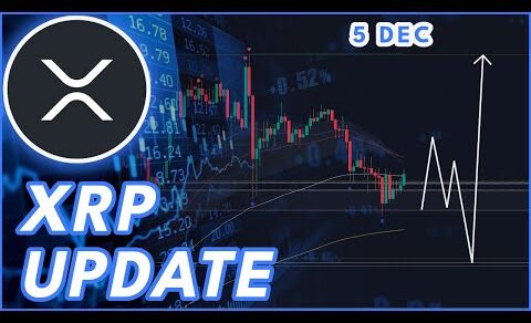 XRP FLUSH WARNING!🚨 | RIPPLE (XRP) PRICE PREDICTION & NEWS 2024!