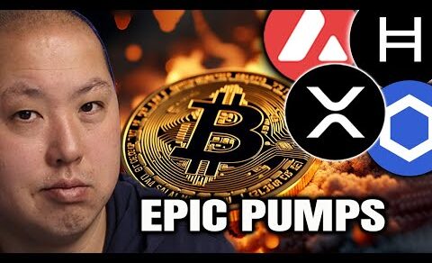 Bitcoin is RUNNING OUT | EPIC Crypto Pumps (MORE COMING)