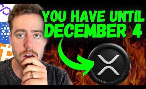 THE HIDDEN XRP VIDEO THAT CHANGES EVERYTHING! (HUGE NEWS DEC 4!)