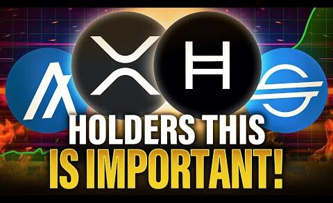 If You Hold XRP XLM HBAR & ALGO – This Is IMPORTANT!