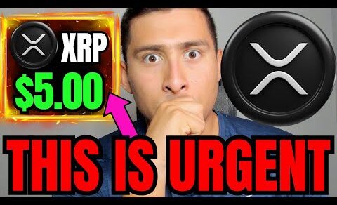 XRP RIPPLE MAXIMALIST NEWS UPDATE! XRP is the GREATEST Crypto?!