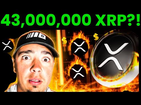 WOAH! 43,000,000 XRP in 24 Hours? Major Ripple XRP News!